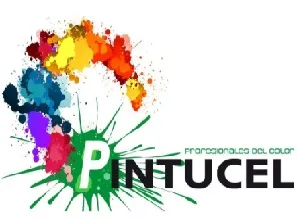 Pintucel